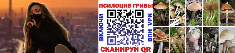 где найти наркотики  Новоалтайск  Псилоцибиновые грибы GOLDEN TEACHER 